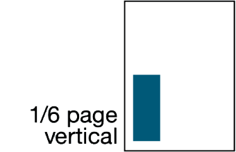 Image depicting: One Sixth page vertical ad sizing.